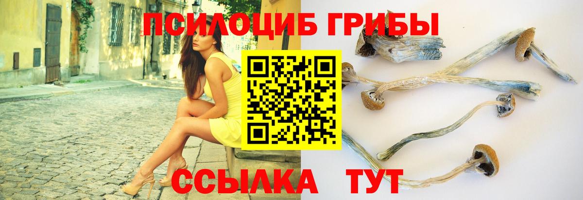 Псилоцибиновые грибы Magic Shrooms  Псилоцибиновые грибы MAGIC MUSHROOMS  Дедовск  Вход с VPN 