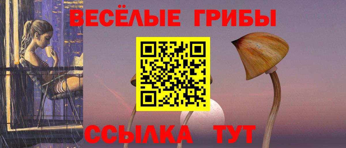 Галлюциногенные грибы Cubensis Дедовск